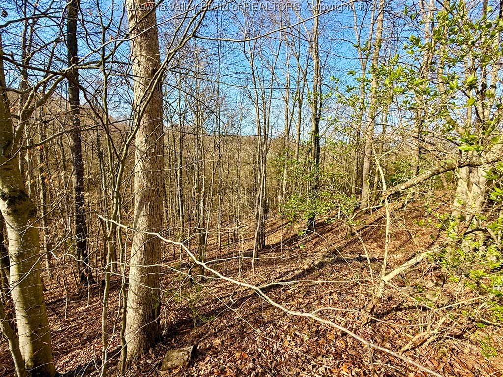 0 Kanawha River Hills