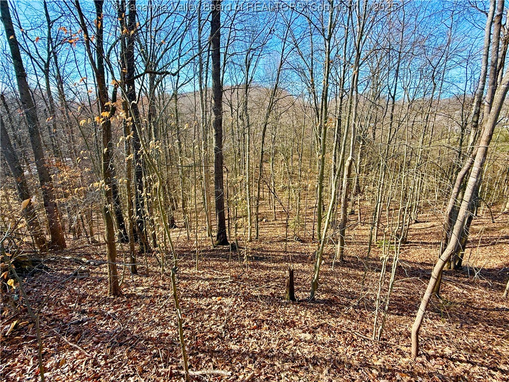 0 Kanawha River Hills