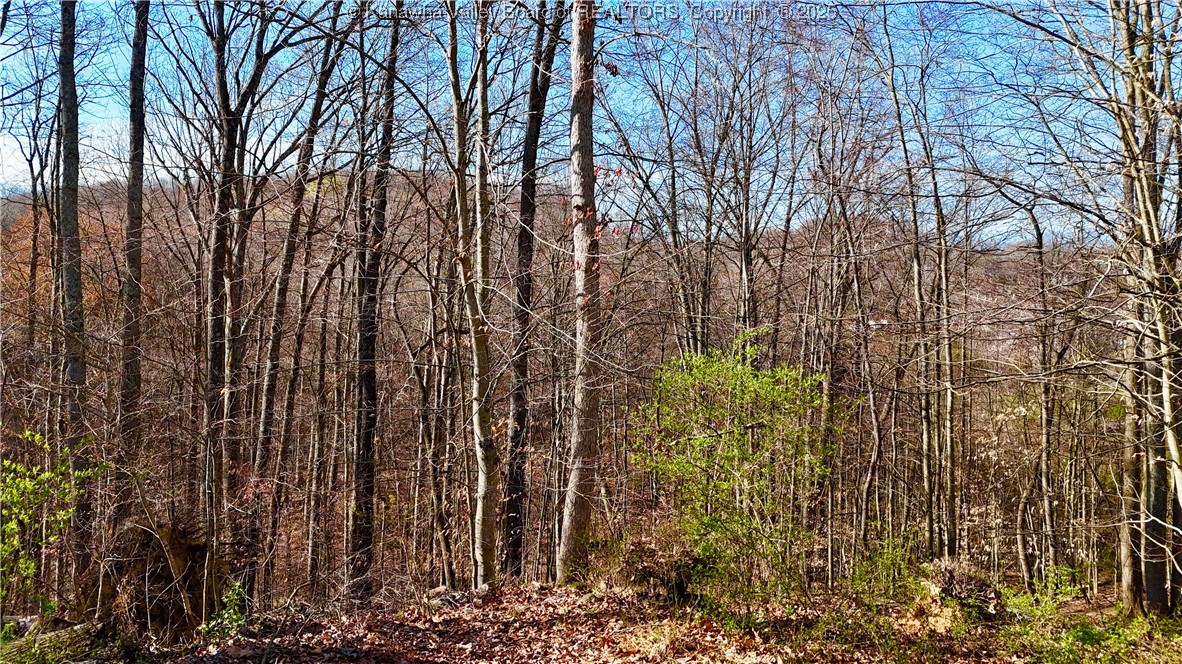 0 Kanawha River Hills