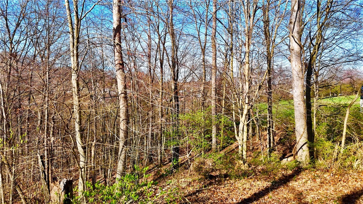 0 Kanawha River Hills