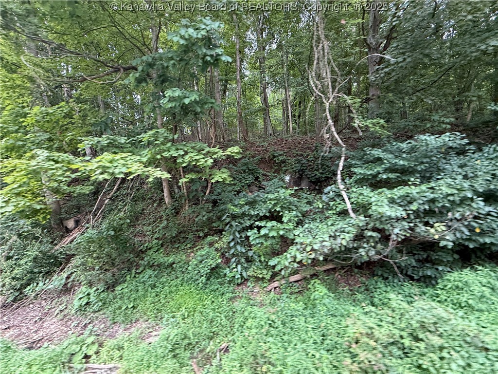 1037 MacCorkle Avenue