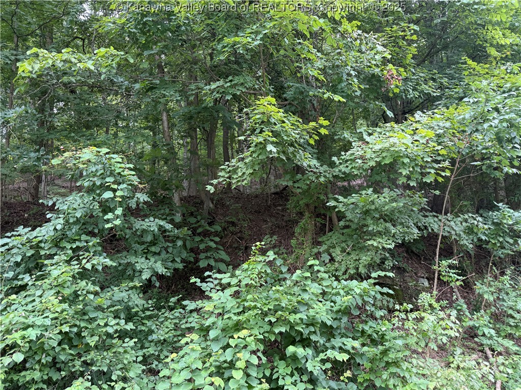 1037 MacCorkle Avenue