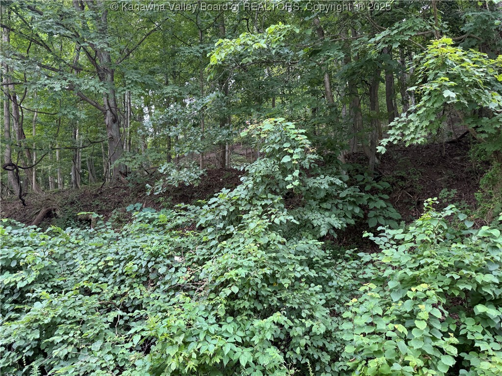 1037 MacCorkle Avenue