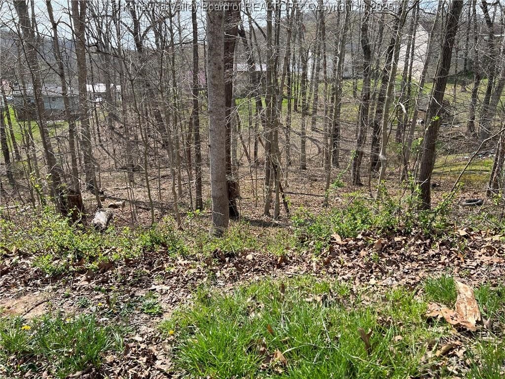 1189 Hillcrest Drive