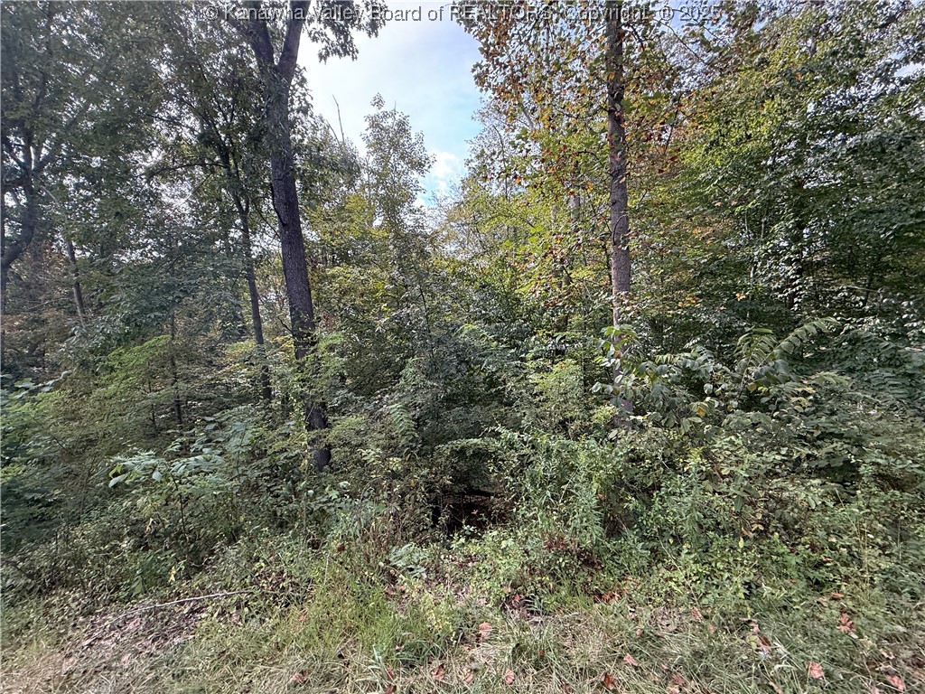 1189 Hillcrest Drive