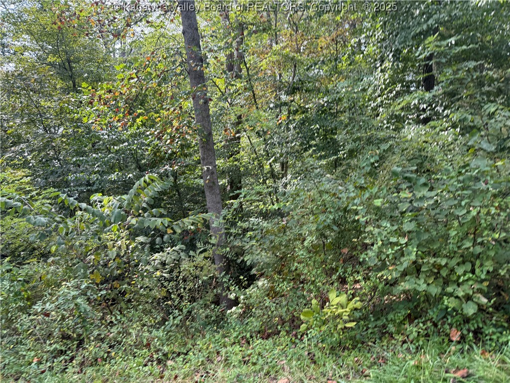 1189 Hillcrest Drive