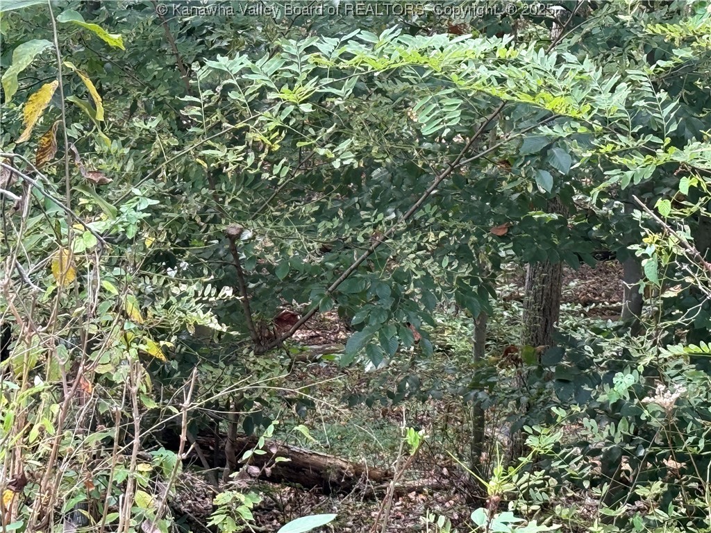 1189 Hillcrest Drive