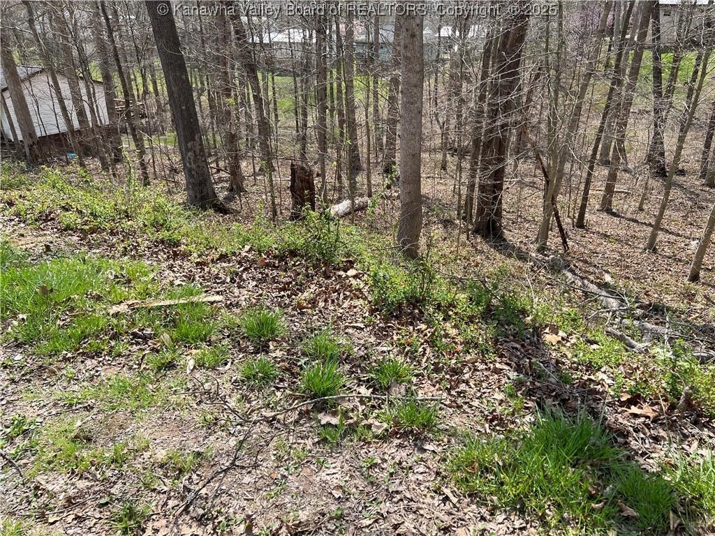 1189 Hillcrest Drive