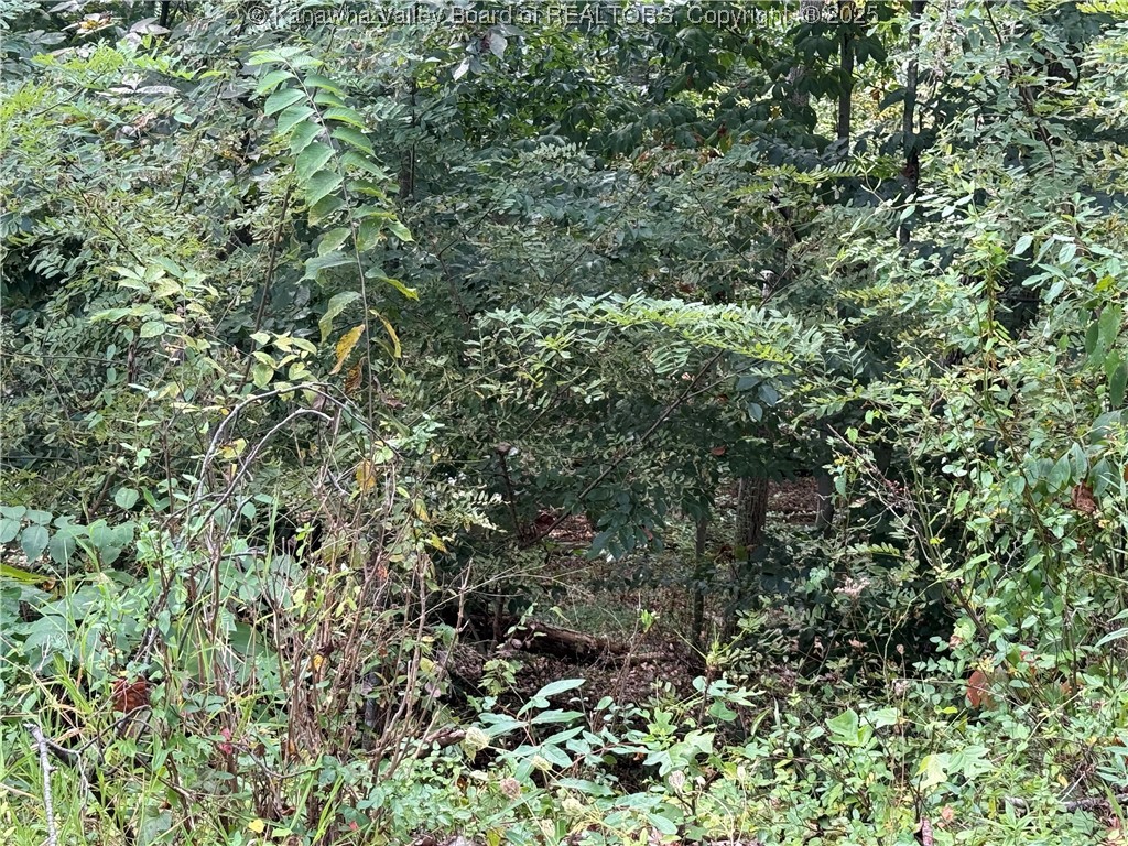 1189 Hillcrest Drive