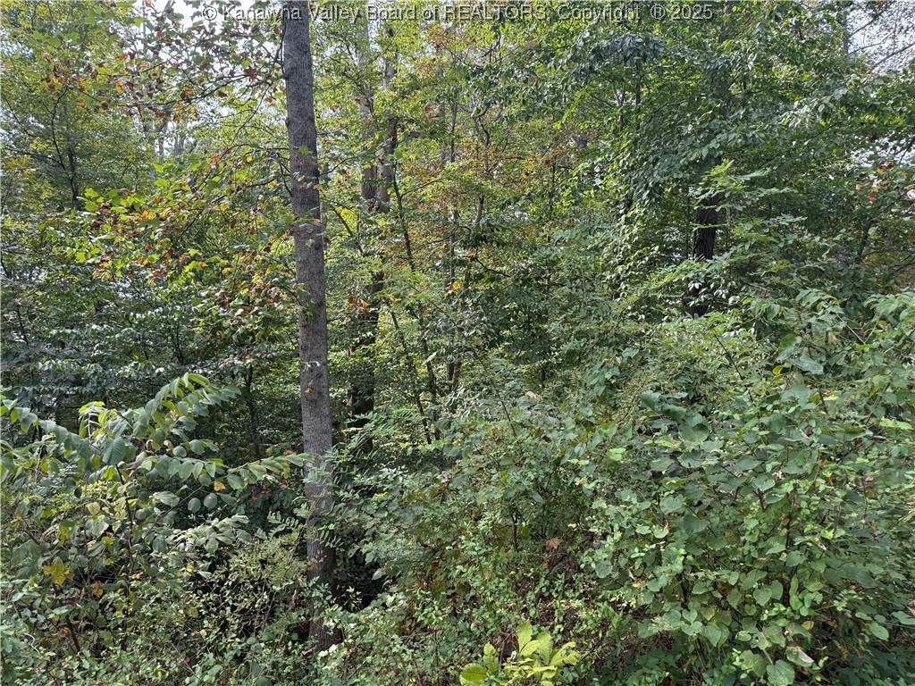 1189 Hillcrest Drive