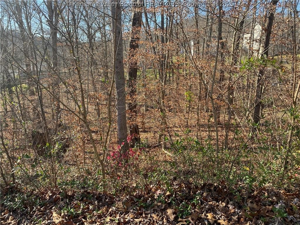 1189 Hillcrest Drive