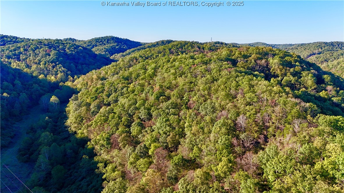 0 Harmons Creek Road