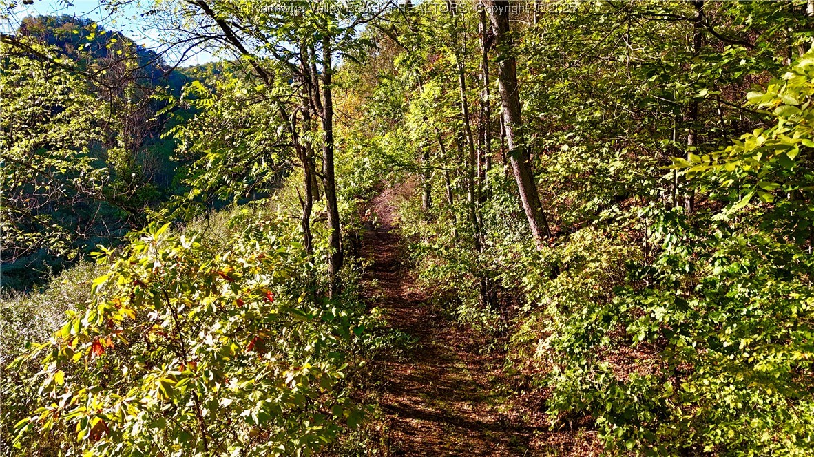 0 Harmons Creek Road