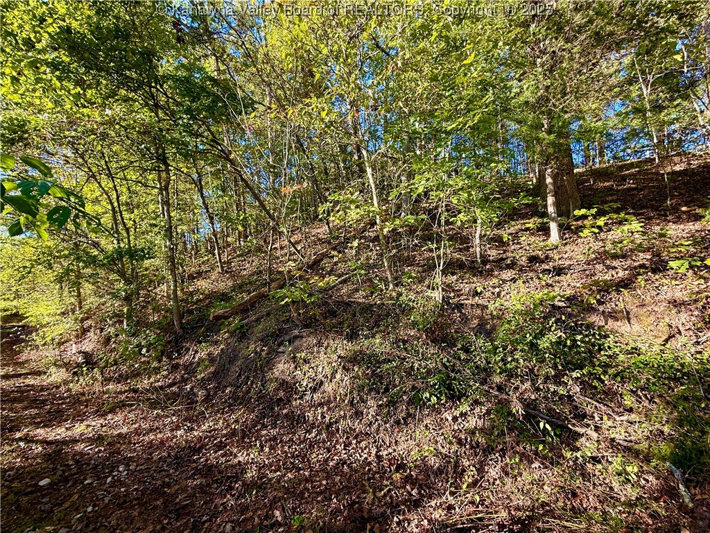 0 Harmons Creek Road