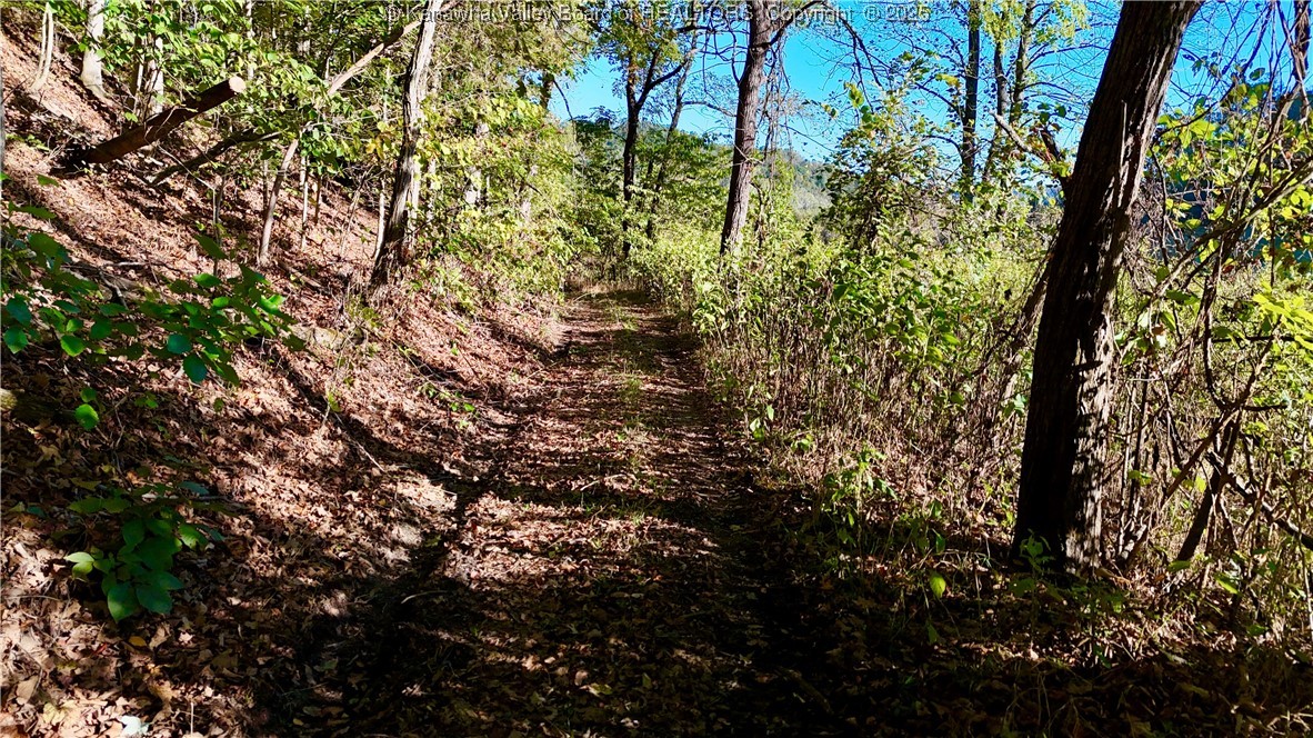 0 Harmons Creek Road