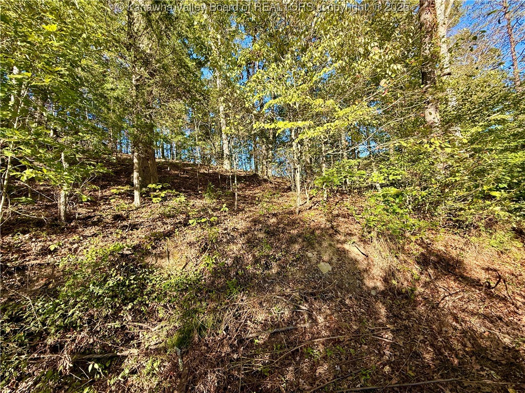 0 Harmons Creek Road