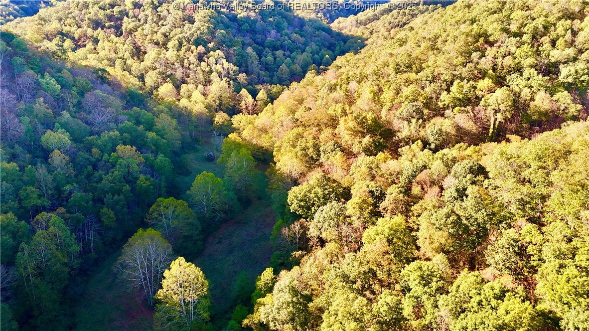 0 Harmons Creek Road