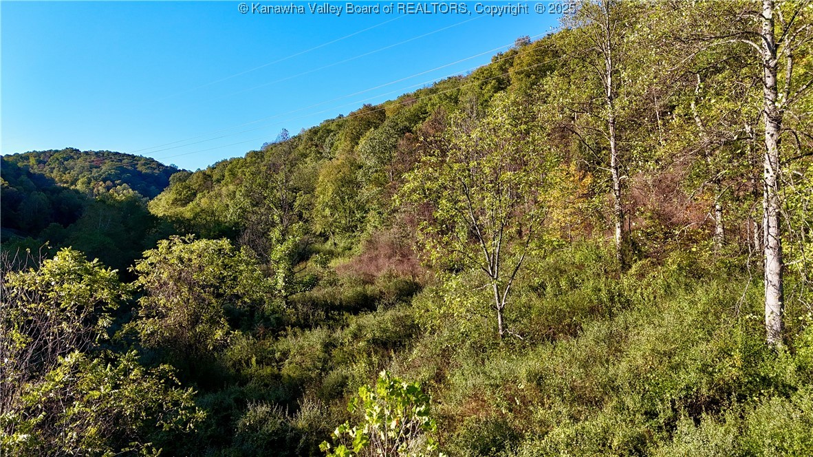 0 Harmons Creek Road