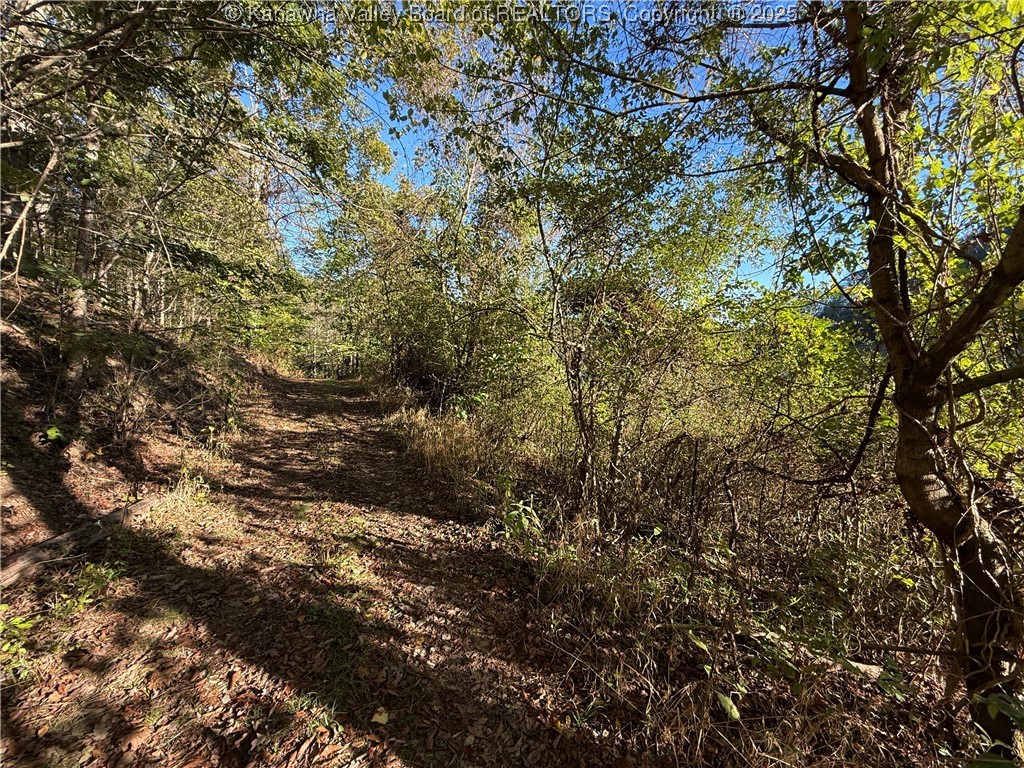 0 Harmons Creek Road