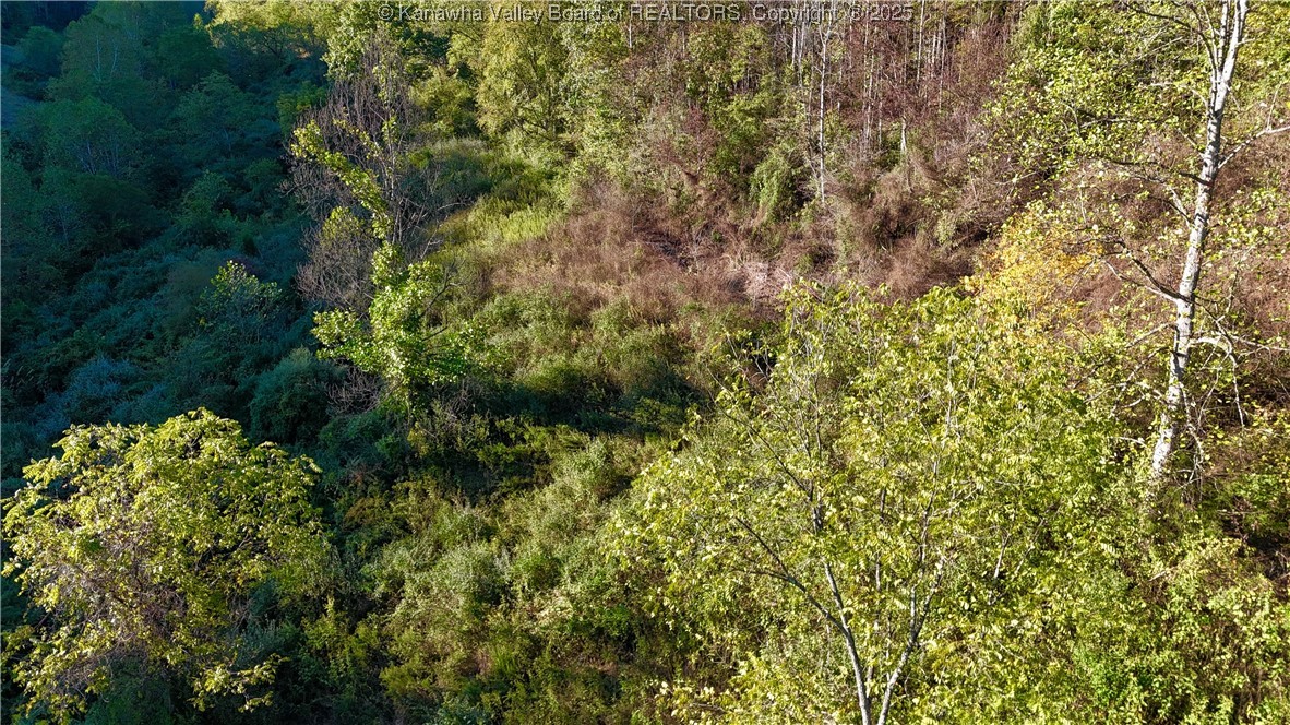 0 Harmons Creek Road