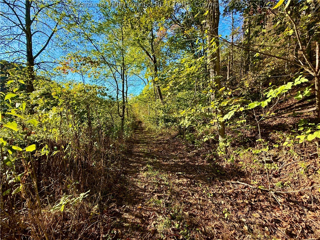 0 Harmons Creek Road