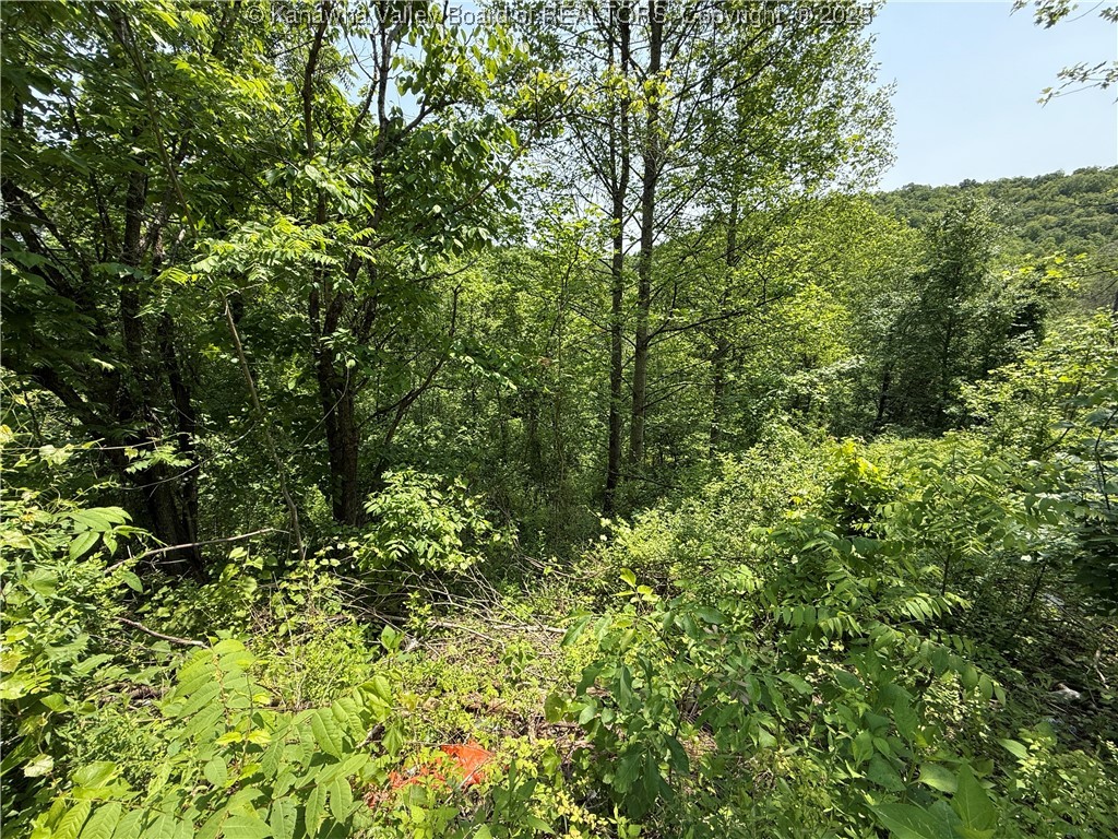 99 - 103 Pine Street