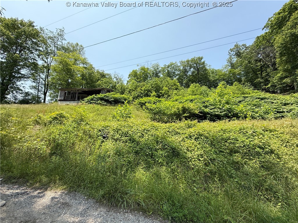 99 - 103 Pine Street