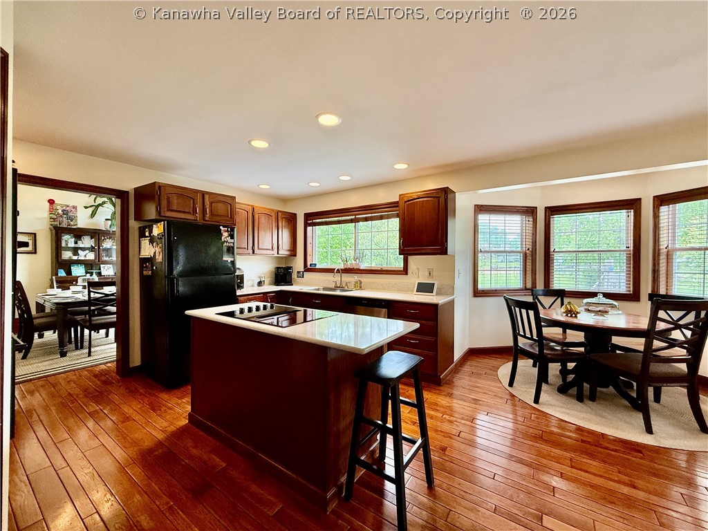 46 Shannon Drive