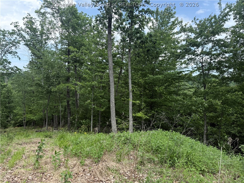 142 Fisher Ridge Road