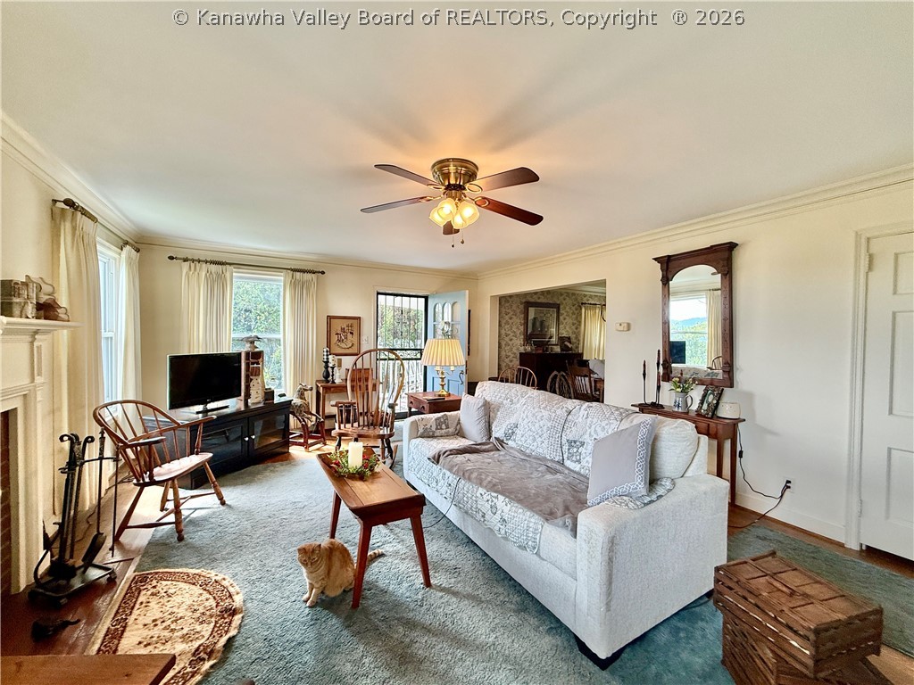 319 Mount View Drive