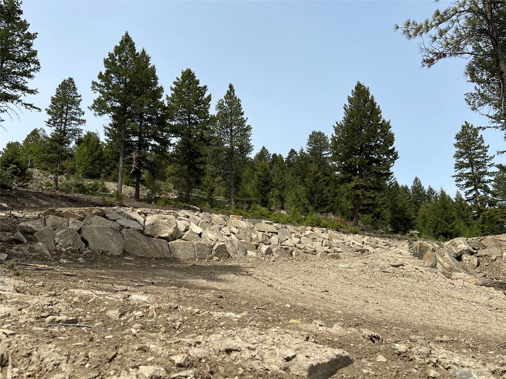 Rocky cleared hillside bordered by boulders and mature pine trees.