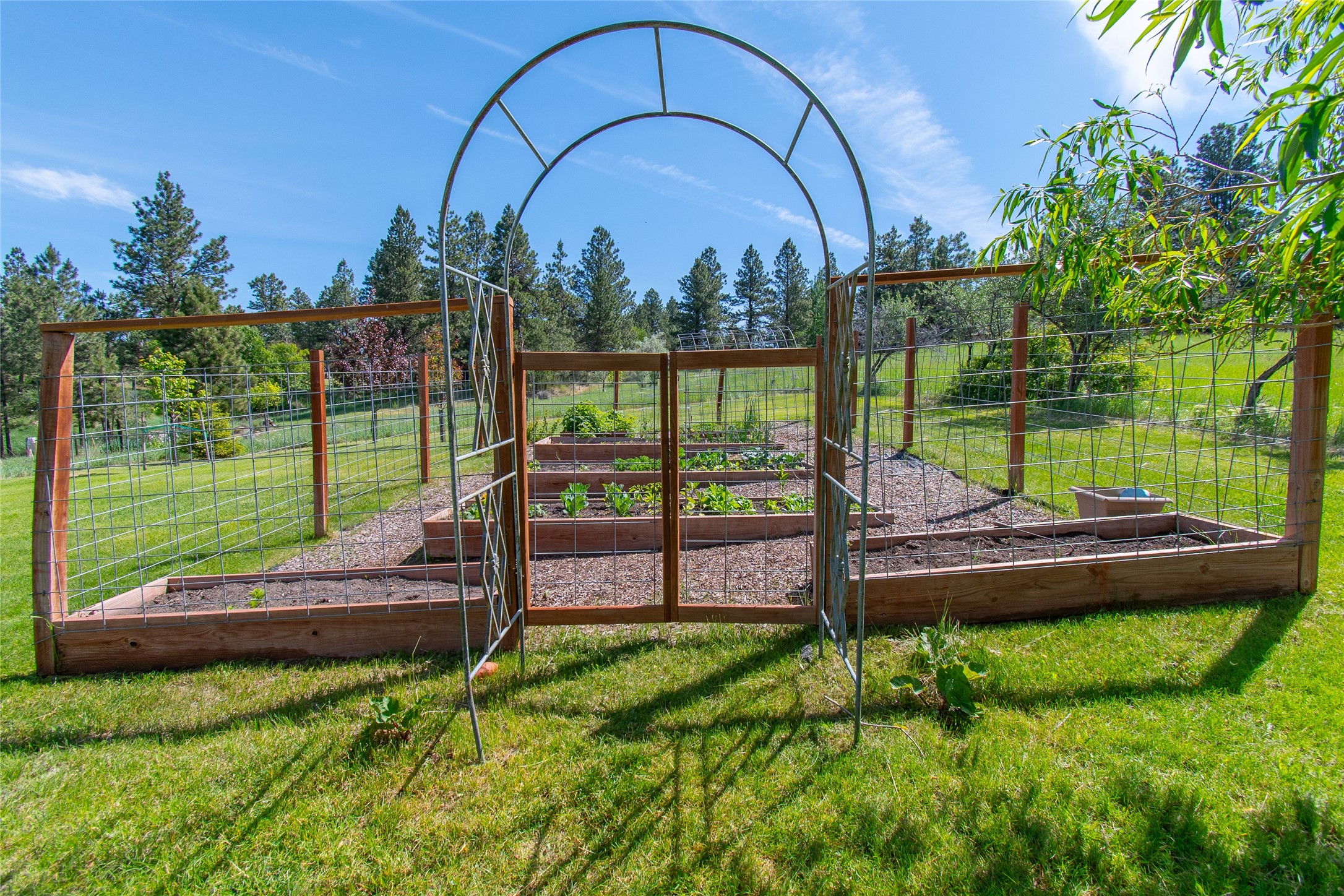 41 Saddle Mountain Drive