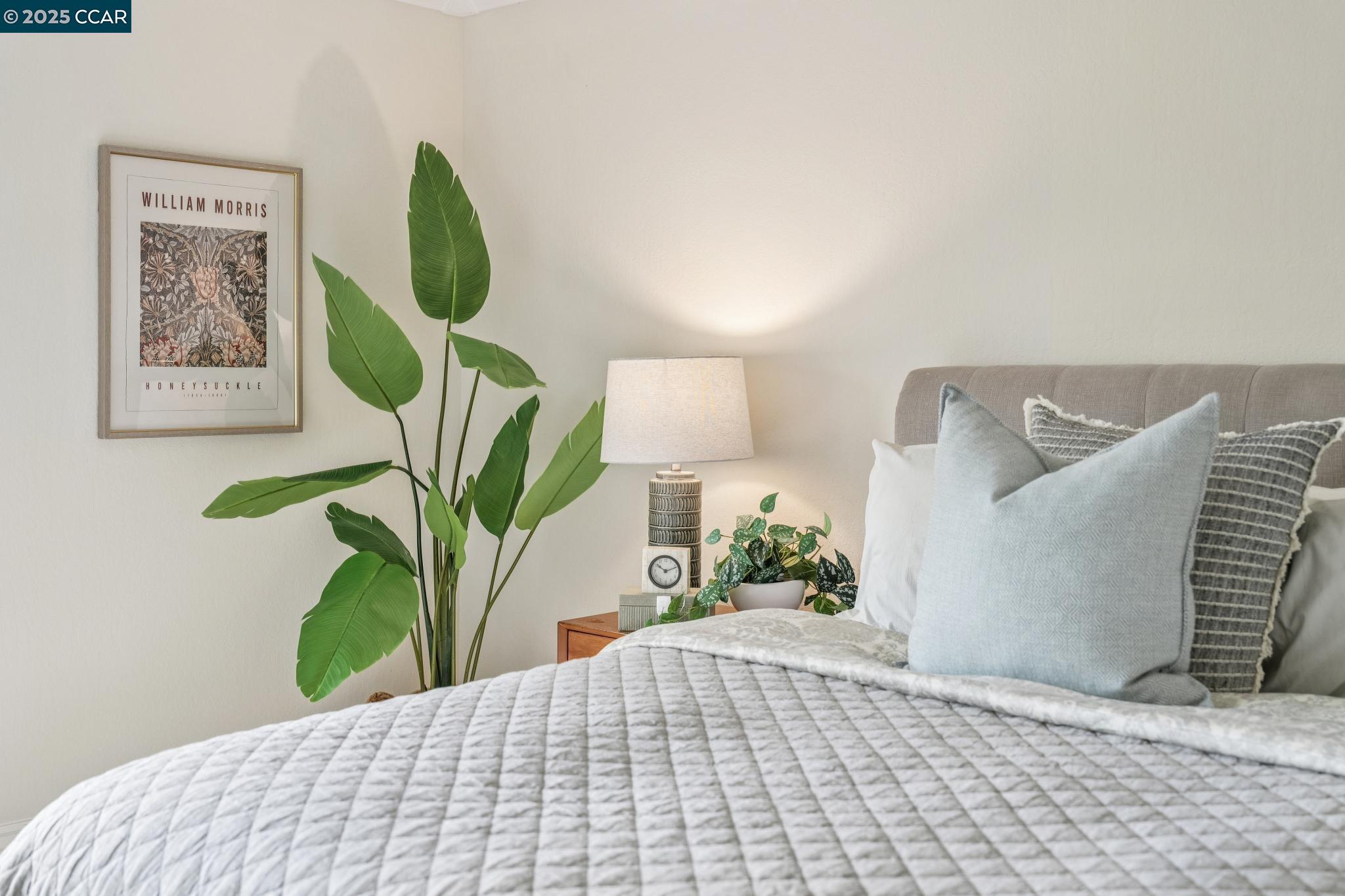 870 Terra California # 5