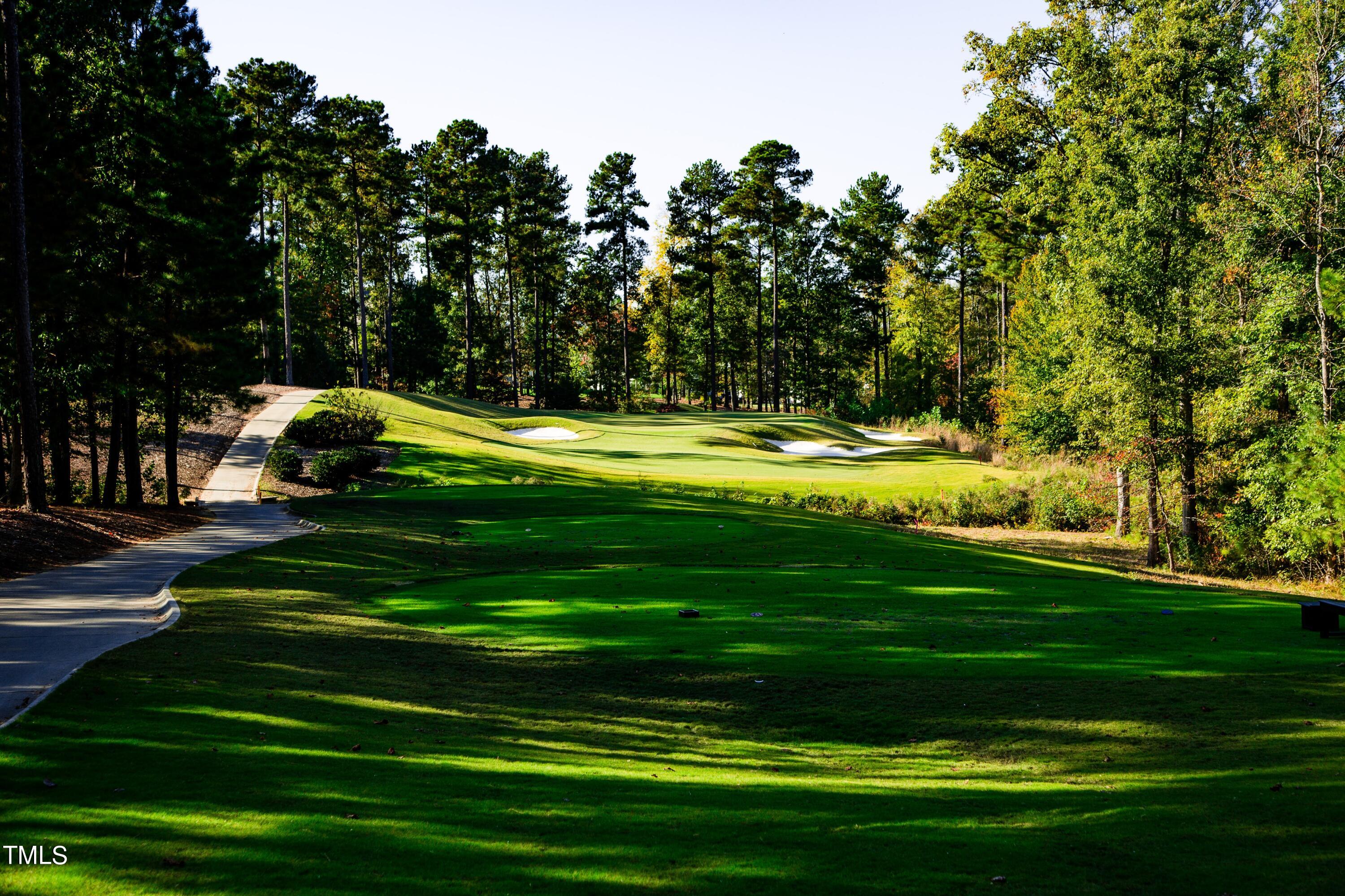 105 Jumping Creek Court