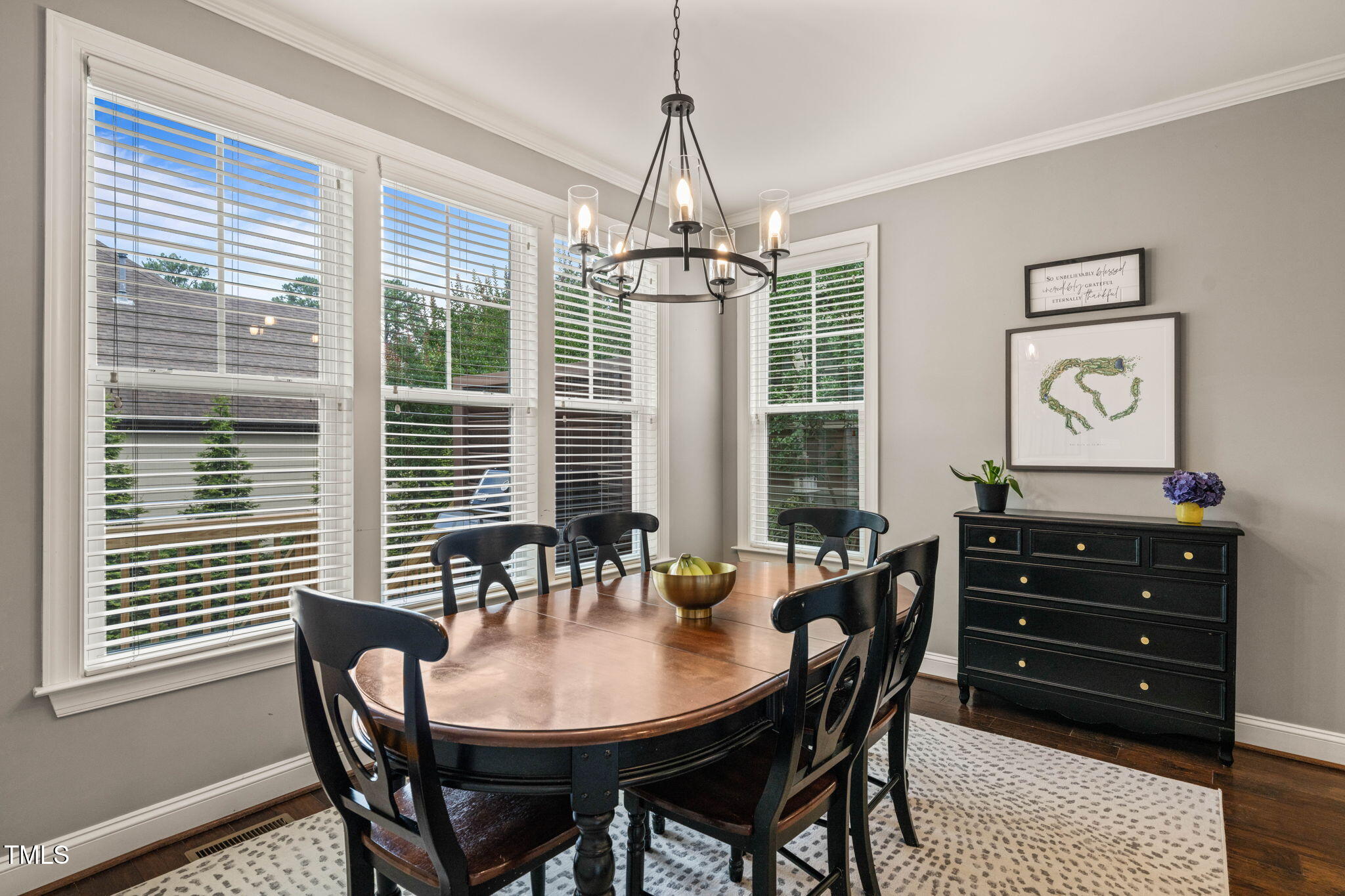 508 Morning Oaks Drive