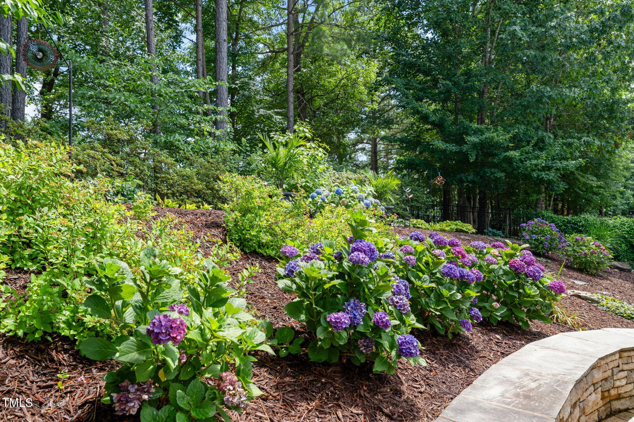 Garden with purple and blue hydrangeas beneath mature trees beside a curved stone retaining wall.