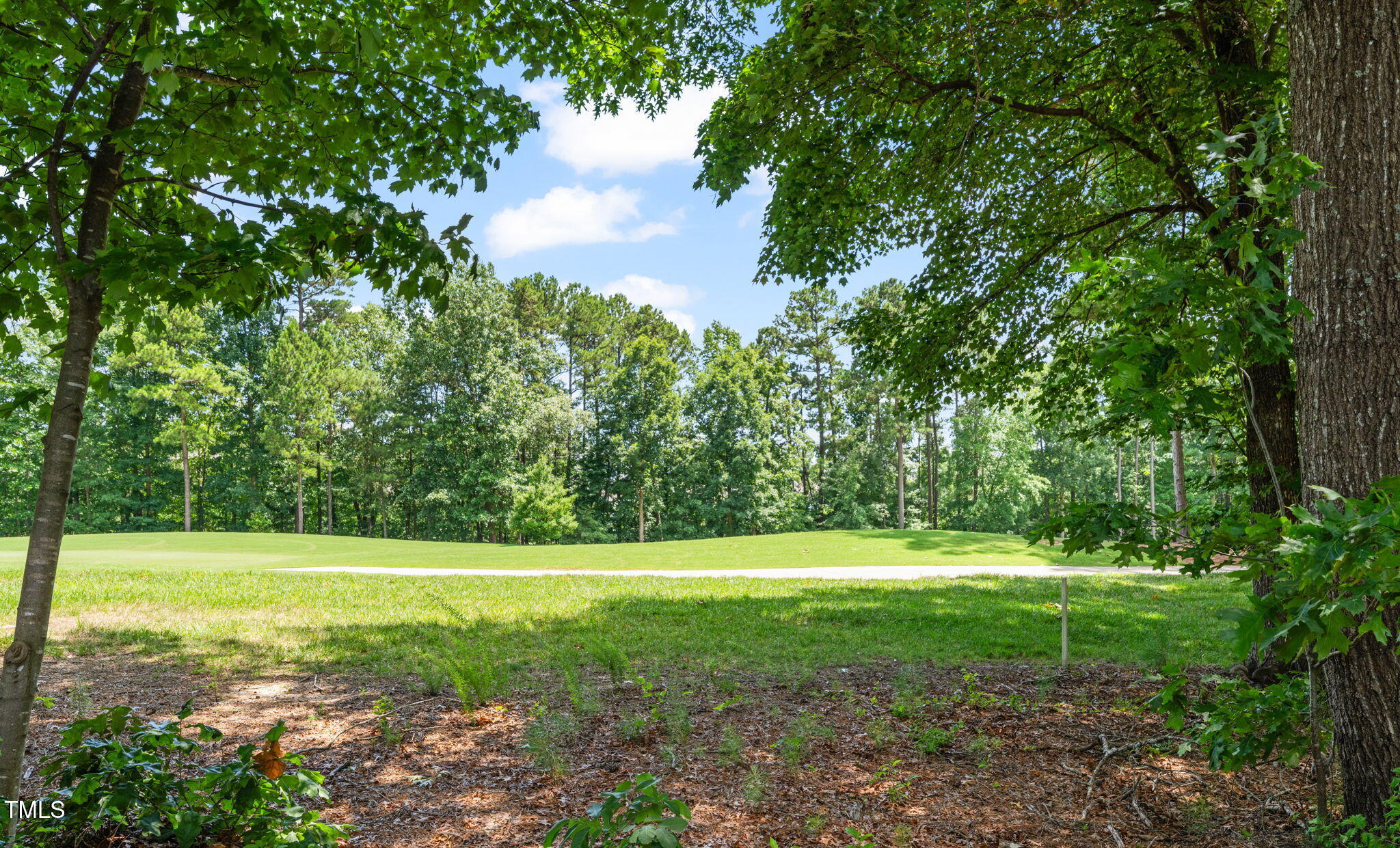 Tree-lined lawn with a paved path and mature trees framing the view.