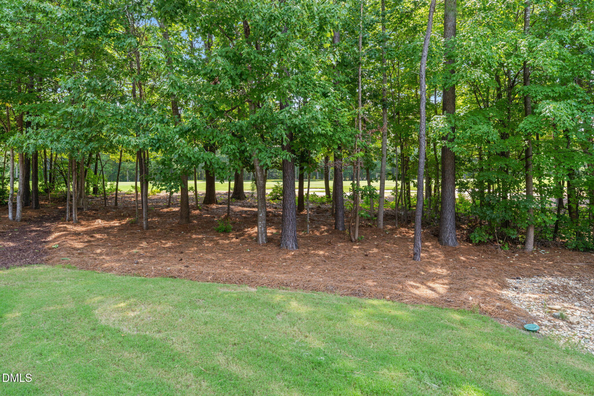 Landscaped yard with a green lawn, pine-straw mulch, and mature trees.