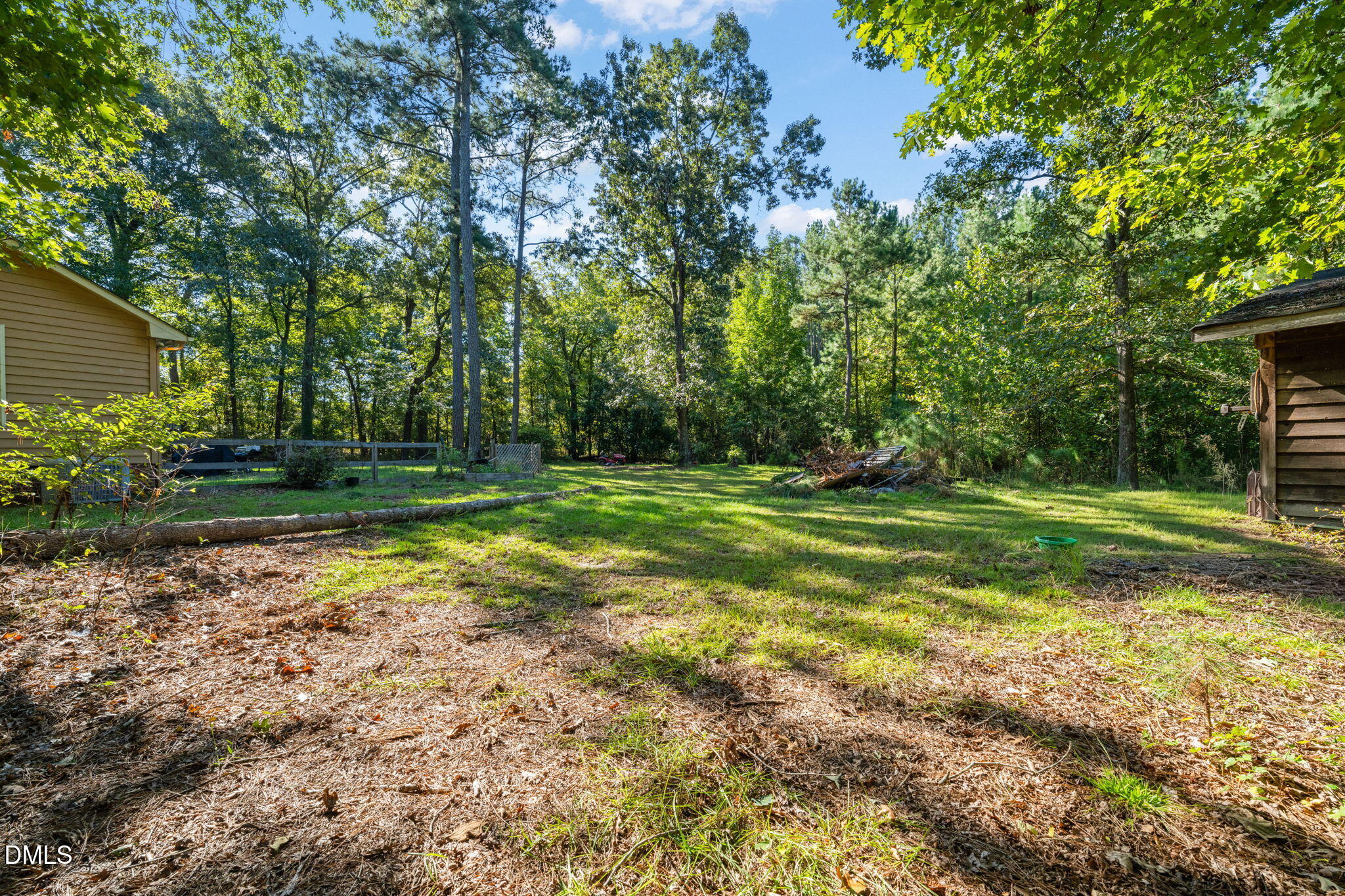 Wooded backyard with a grassy clearing between two outbuildings.