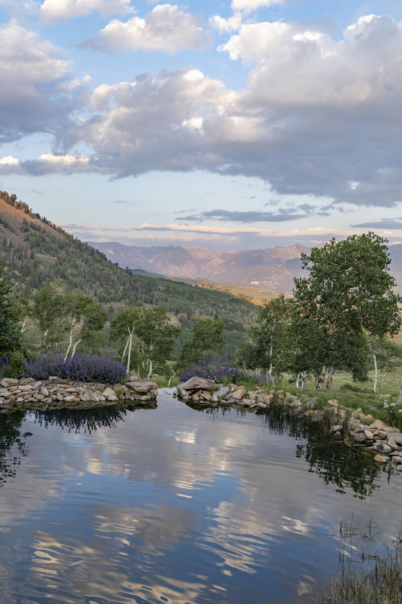 7039 Last Dollar Road