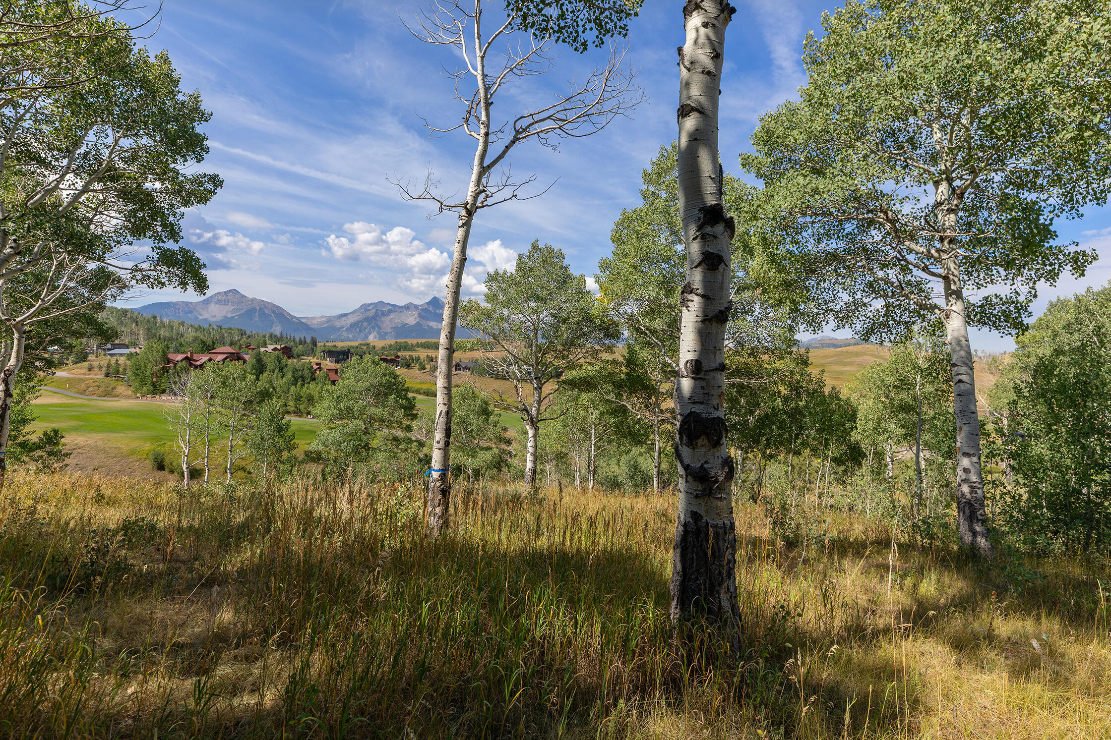 209 Knoll Estates Drive