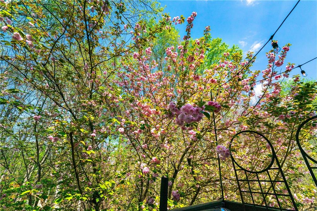 2730 Spindletop Lane NW