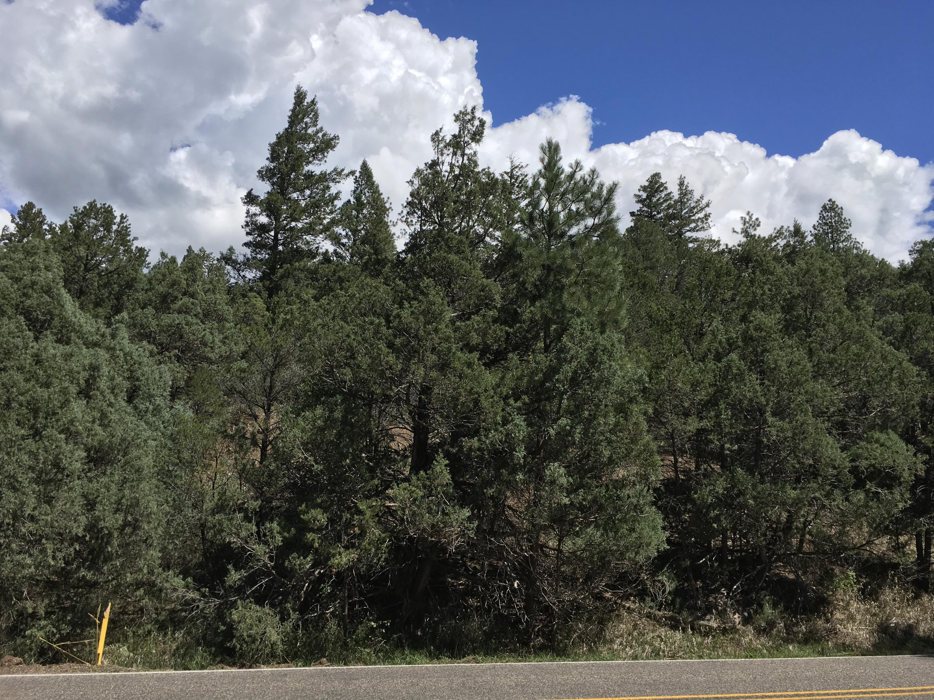 Us-64