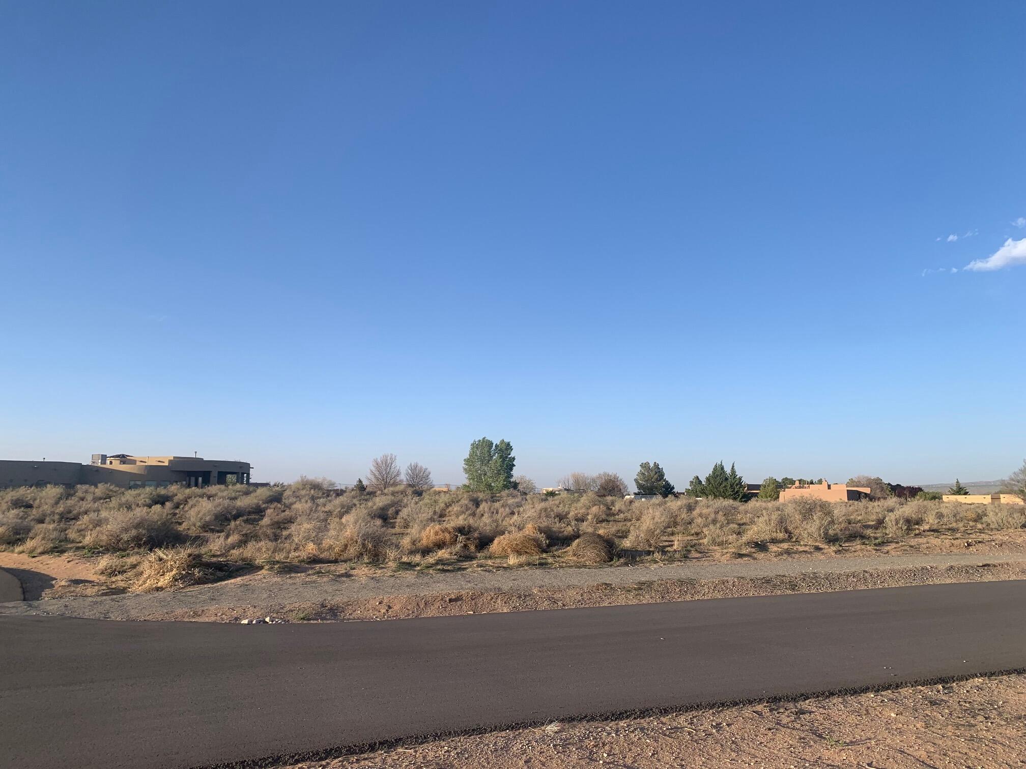 12c Desert Luna