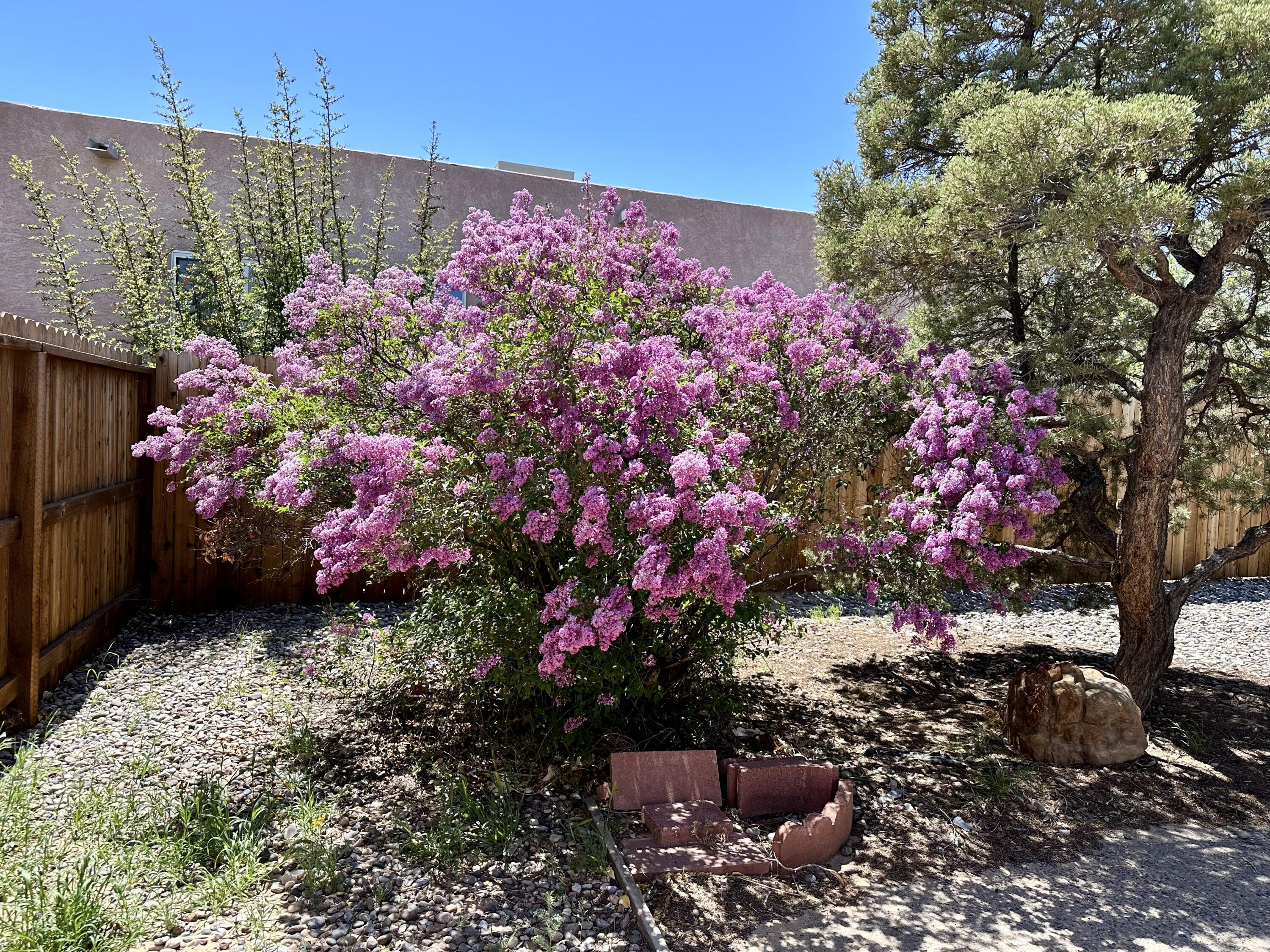 613 Cerro De Ortega Drive SE