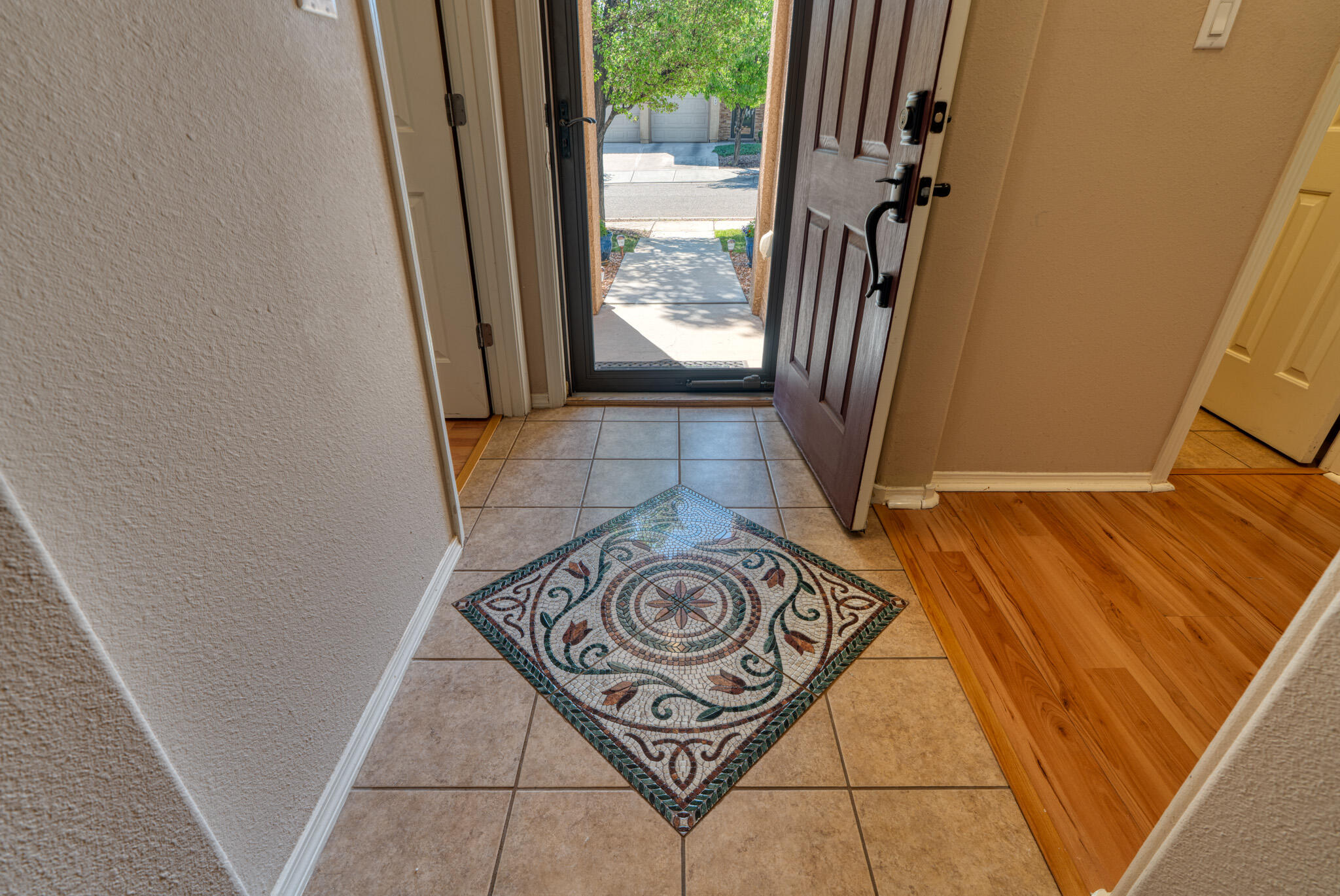 851 VISTA PATRON Drive