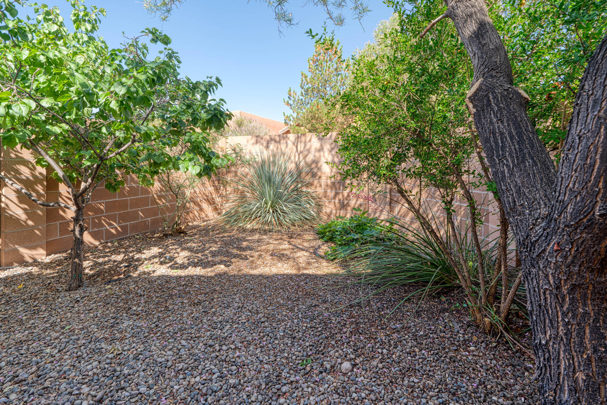 851 VISTA PATRON Drive