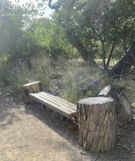 851 VISTA PATRON Drive