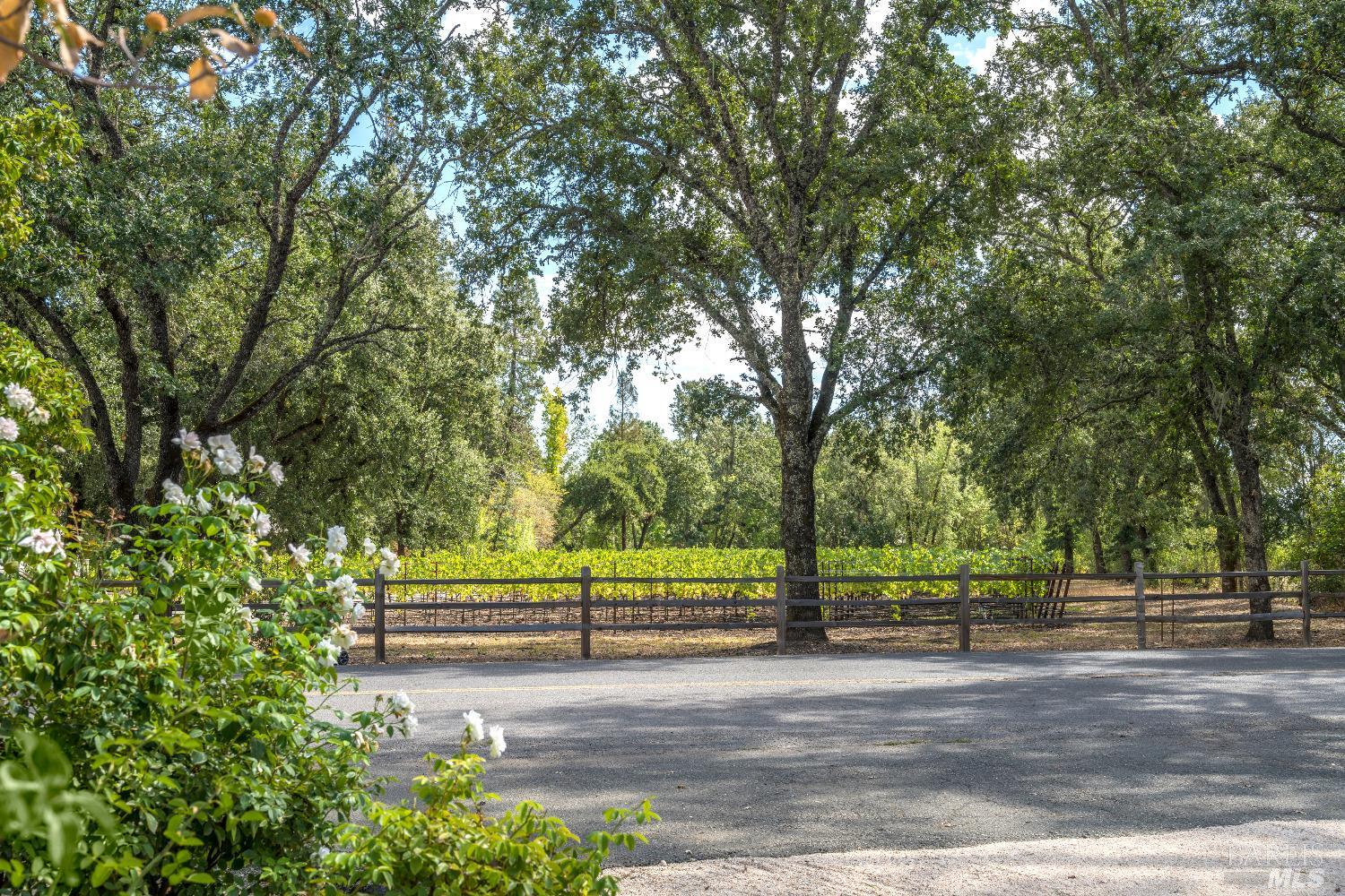 1110 Bale Ln