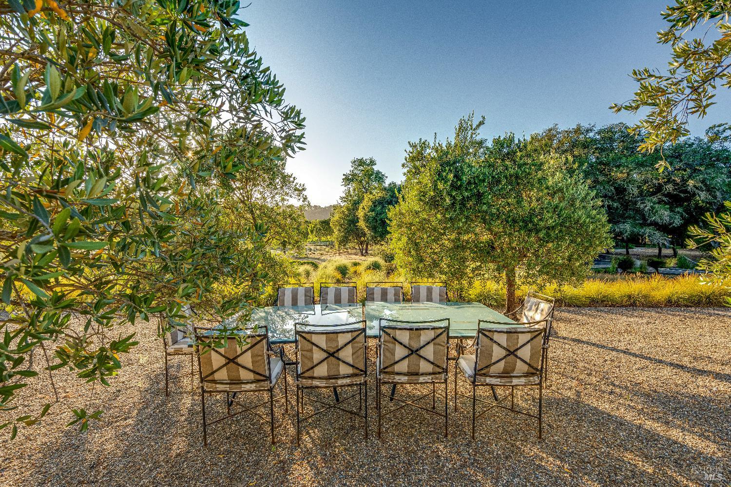 3533 State Highway 128